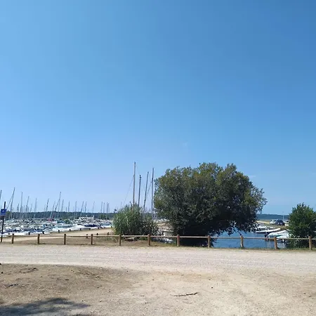 Maison 6 Pers Biscarrosse